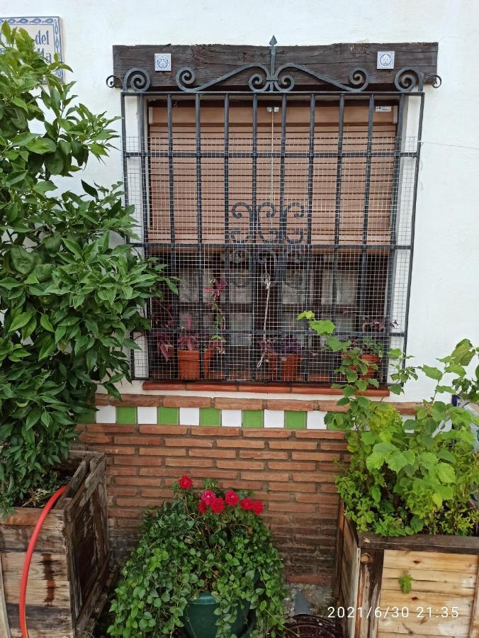 La Casita De Paco Albaicin Apartment
